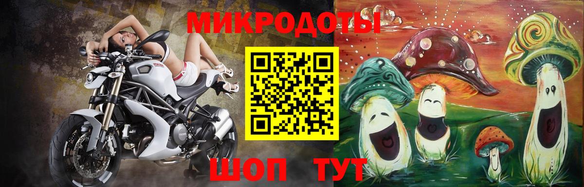 Псилоцибиновые грибы прущие грибы Архангельск