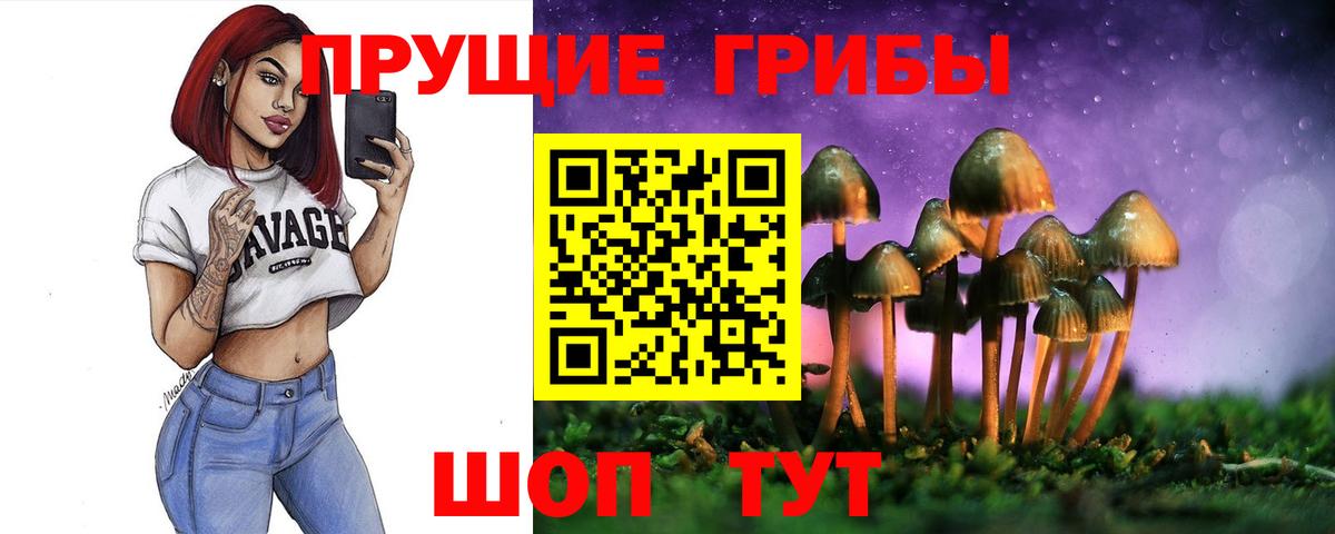 Псилоцибиновые грибы GOLDEN TEACHER  Вход с VPN  Архангельск 